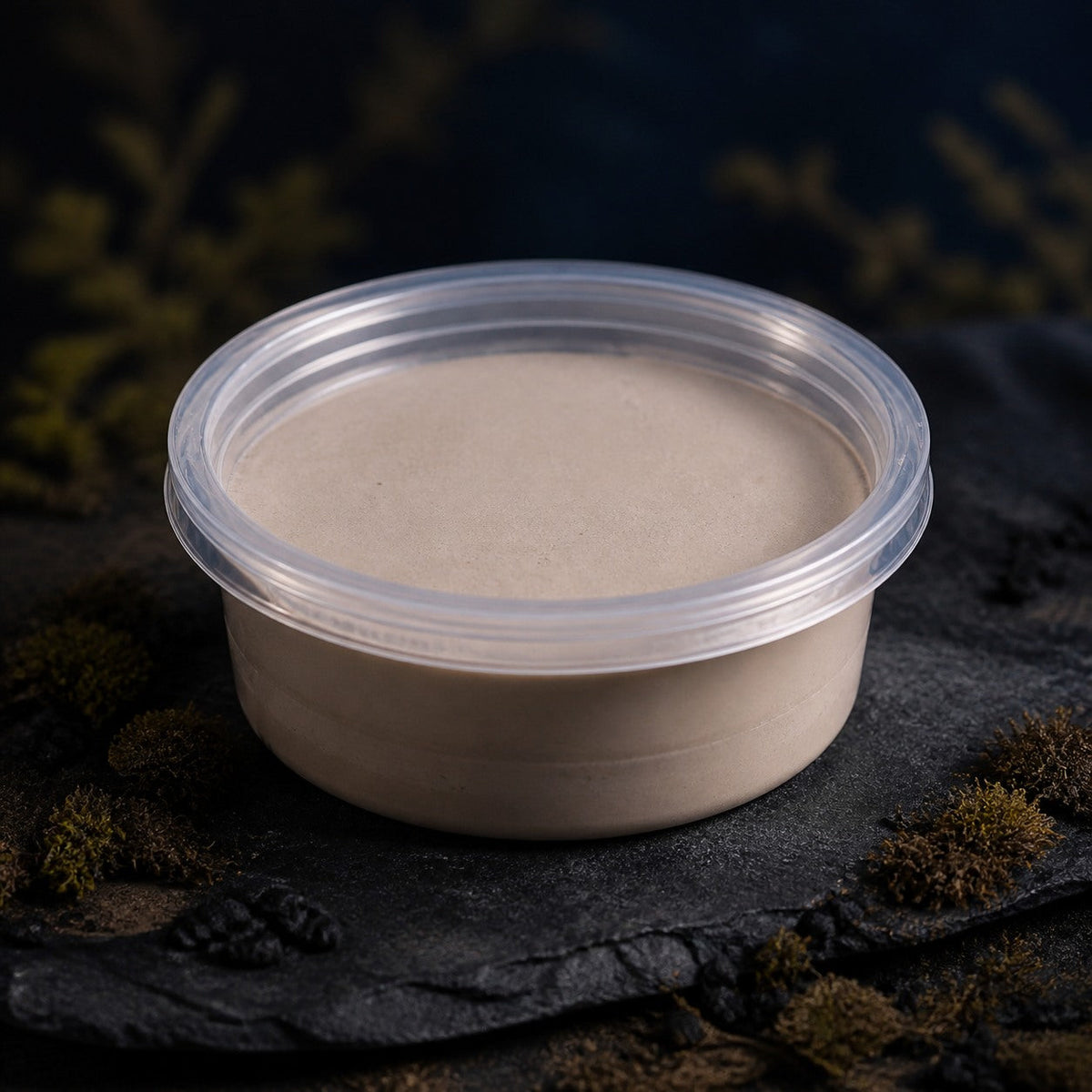 Empty Springtail Starter Cup