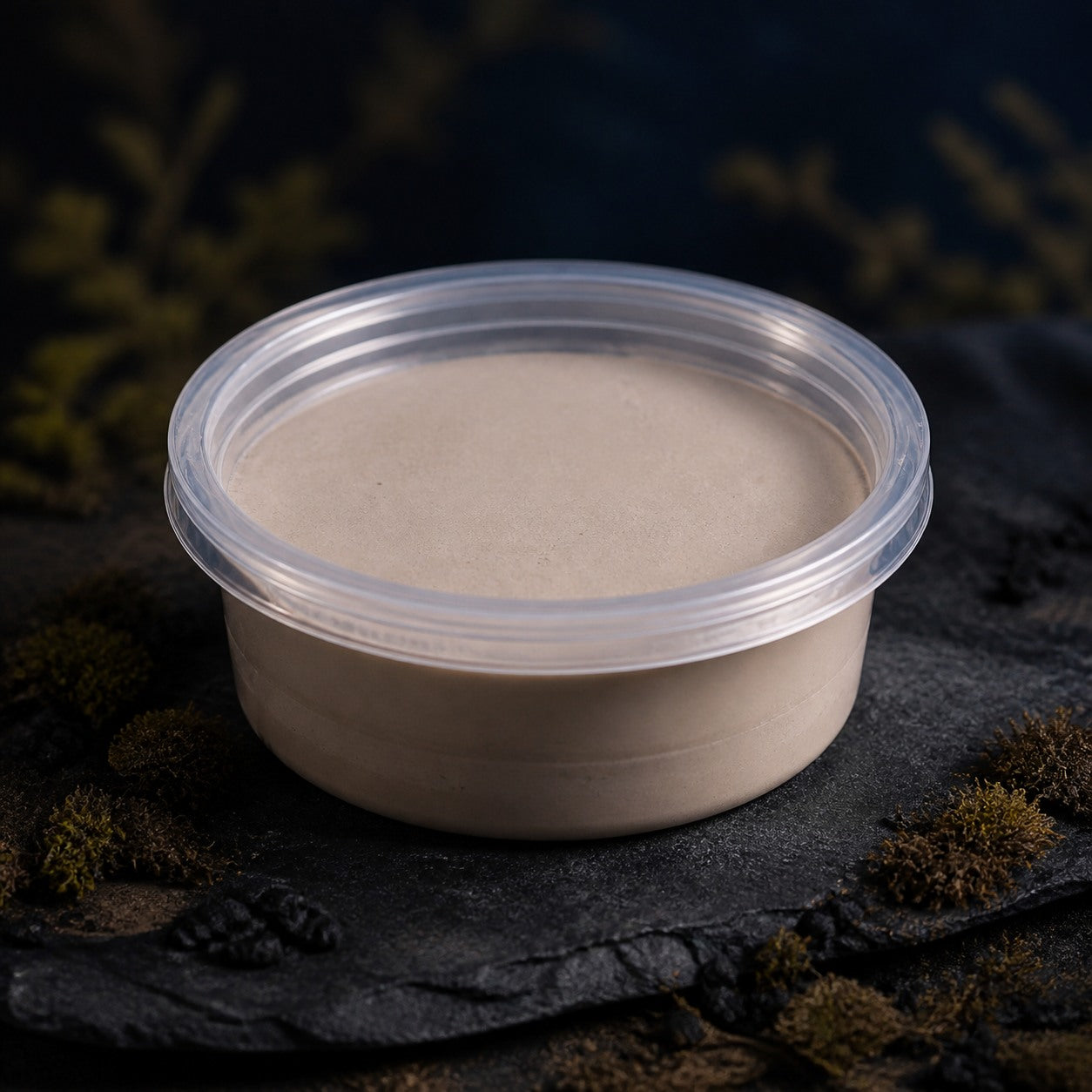Empty Springtail Culture Starter Cup