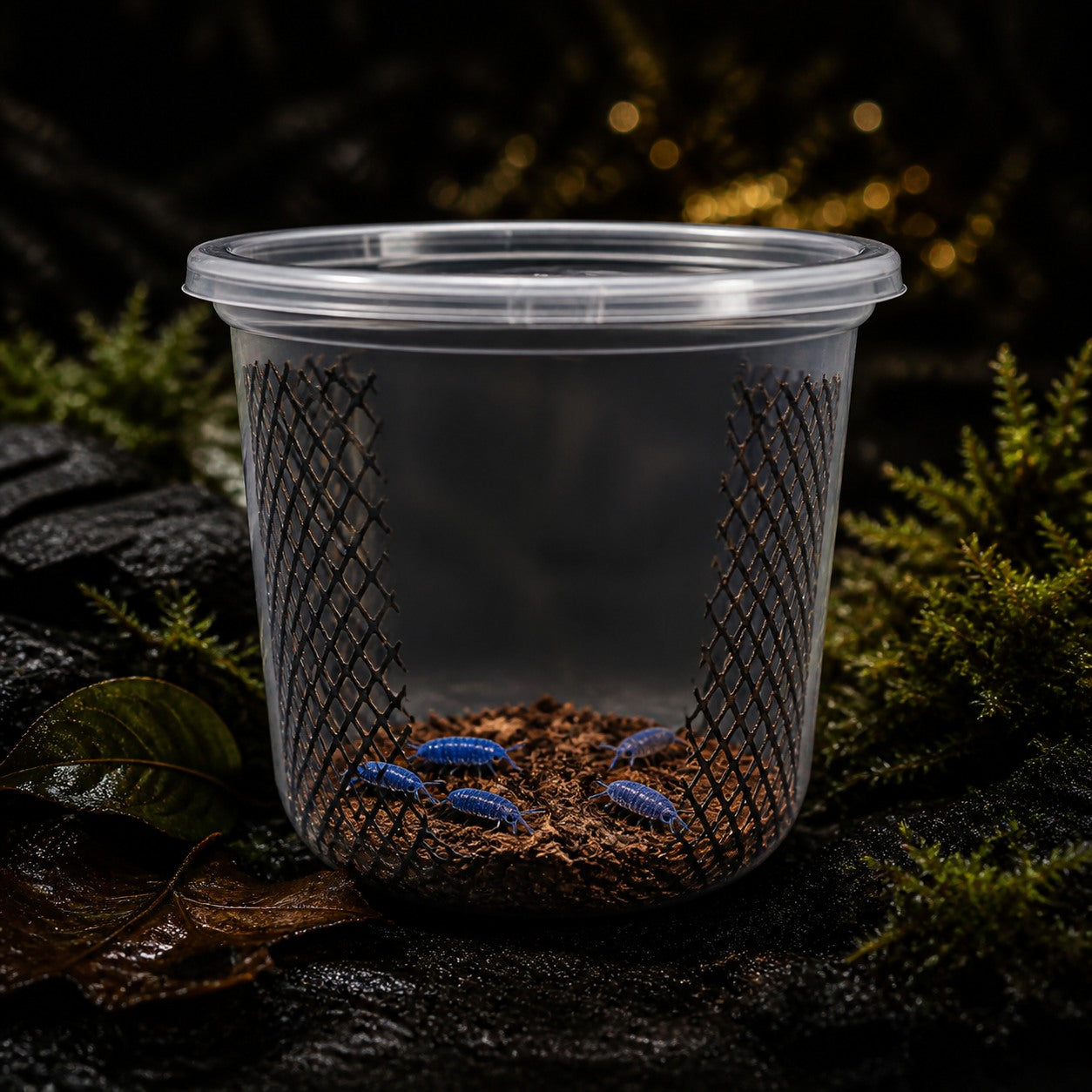 32oz Habitat Cup (No Food)