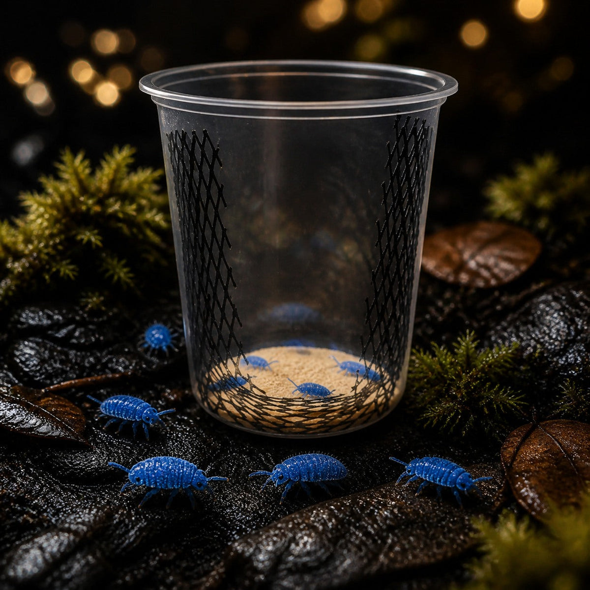 32oz Habitat Cup with Hornworm Food