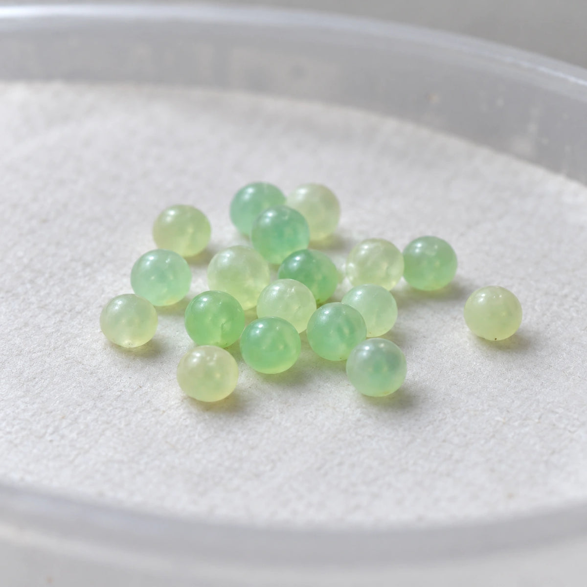 AI-generated reference-guided close view of Manduca sexta tobacco hornworm eggs. Real egg appearance reference: Carolina Biological Supply. AI-generated new rearing scene and framing.