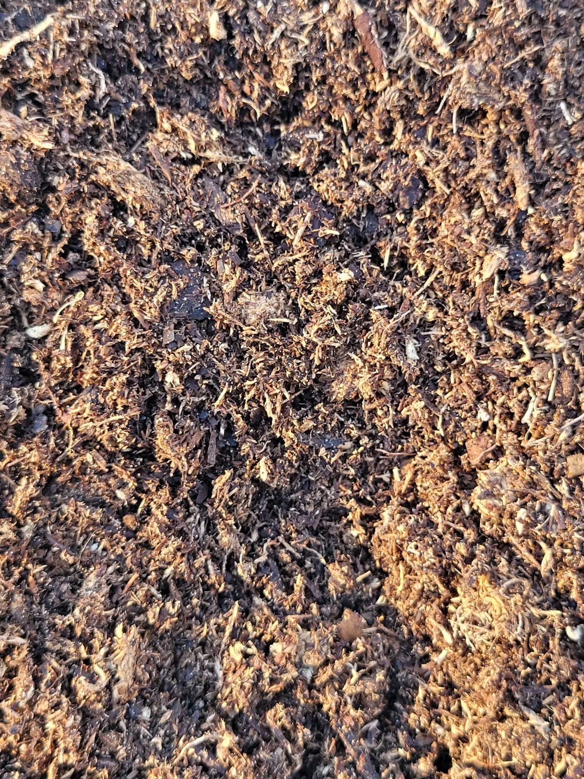 Isopod King Premium Isopod Substrate close-up showing the moist organic blend