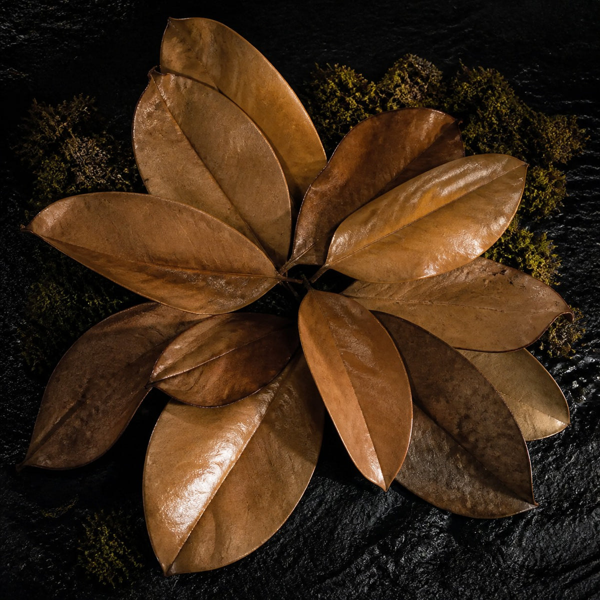 Magnolia Leaves