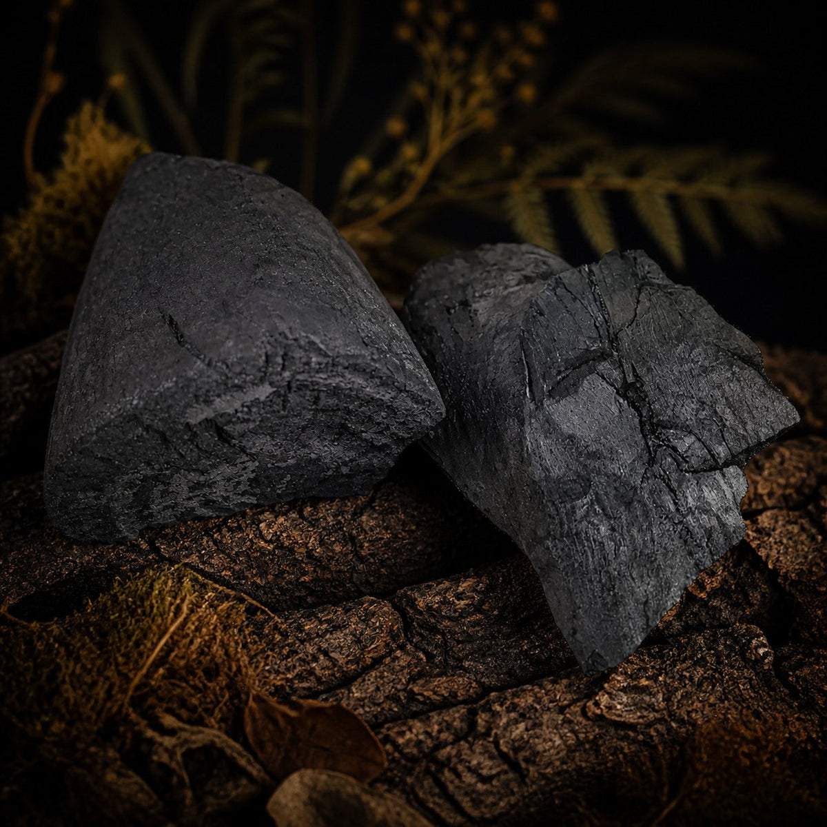 Natural Hardwood Culture Charcoal